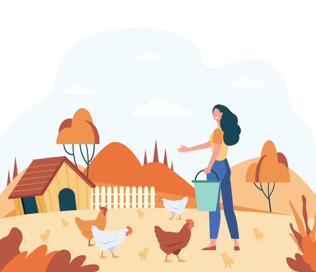 Femme qui nourrit des poules